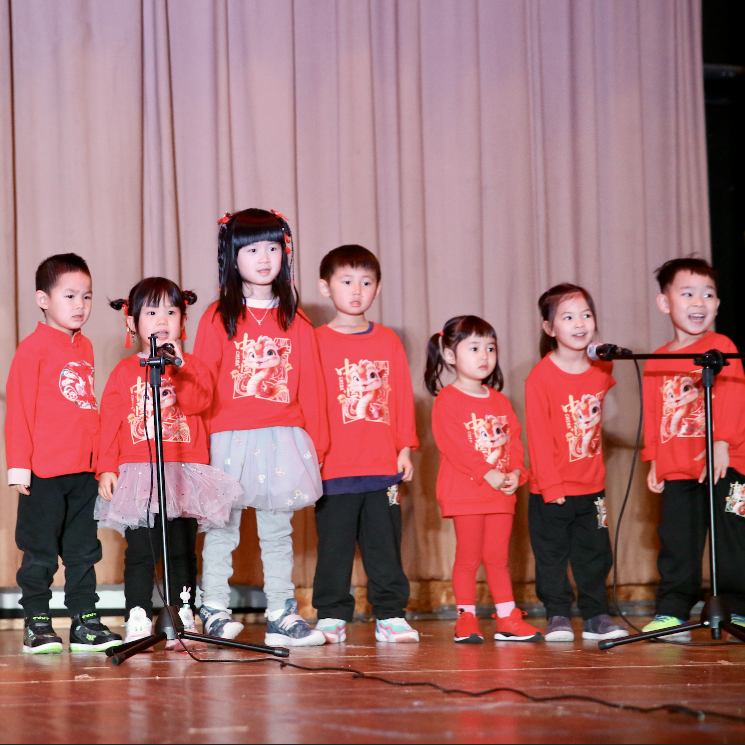 2025_chinese_new_year_gala.jpg